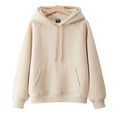Factory Custom Blank 350GSM Thick Heavy Weight Oversized Unisex Hoodies