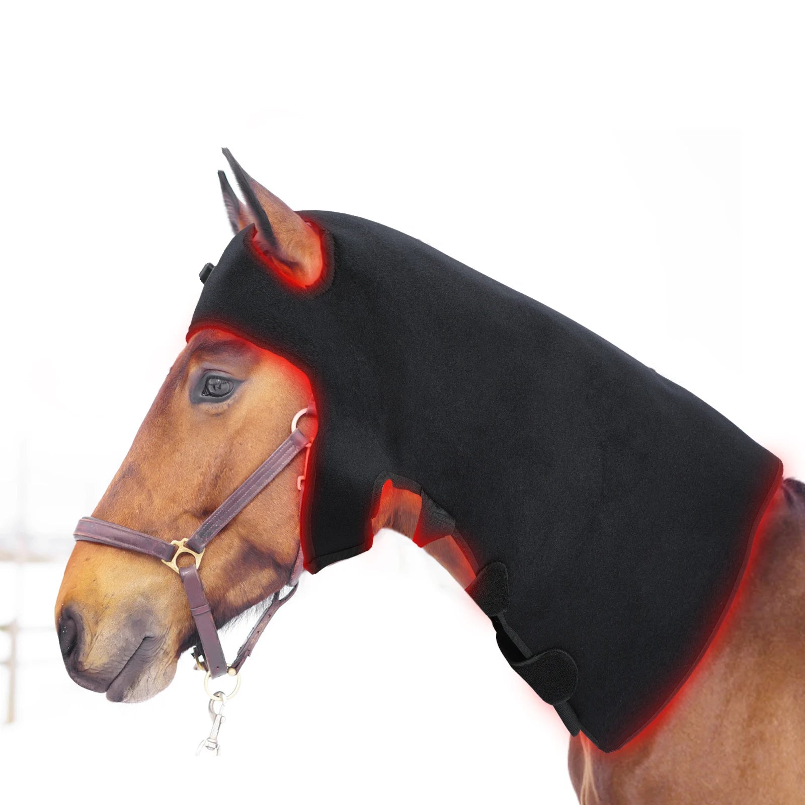 Red Light Therapy for Arthritis in Horses Near Infrared and Red Light Therapy Poll Cap with Neck Powered by Power Bank Hood Wrap