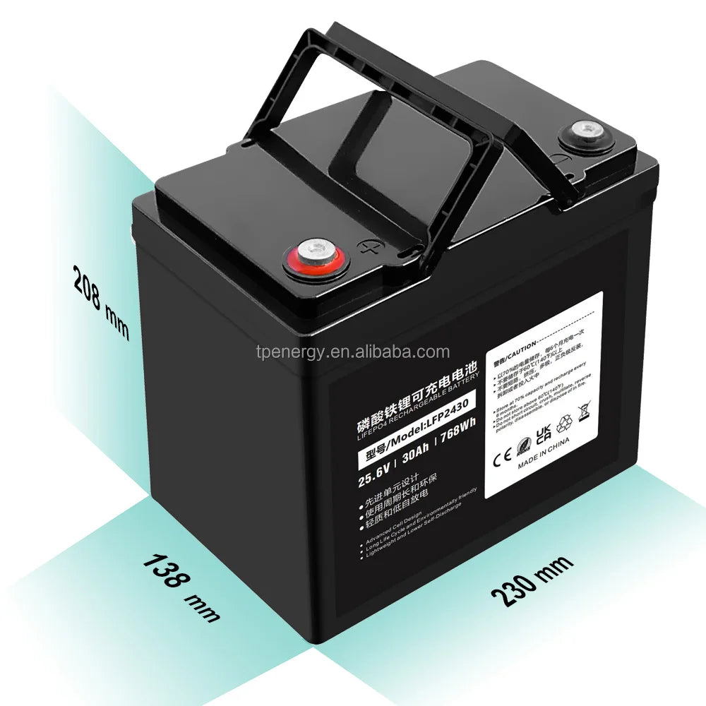 24V 30Ah VRLA Battery Lithium Replacement Battery Wholesale 4S1P 25.6V Fish Finder Camera Rocking Car Batterie Lithium 24V 30AH