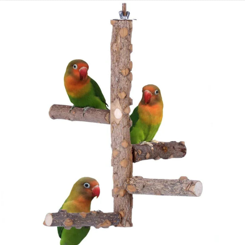 Natural Wood Bird Parrot Perch Stand Branches Fork Toys