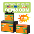 US EU Stock 12V 10Ah 20Ah 50Ah 100Ah 125Ah 200Ah 300Ah 400Ah BMS LiFePO4 LFP Lithium Ion Battery for Solar System Inverter