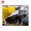 Hot Selling Manufacture Unpowered or Electric Cow Body Brush