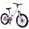 Children's Variable Speed Mountain Bicycle for Boys Girls Mountain Sports Youth Bike Adjustable Speed Off-road Bike