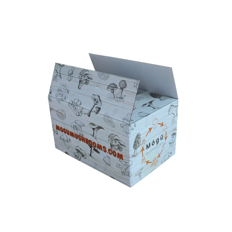 Recycled Custom Logo Corrugated Paper Box Packaging Box