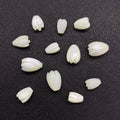 Wholesale 8*10mm Flower Shape Natural Shell Pearl Loose Beads High Quality Carved Shell Pearl Tulip Beads for Jewelry Making
