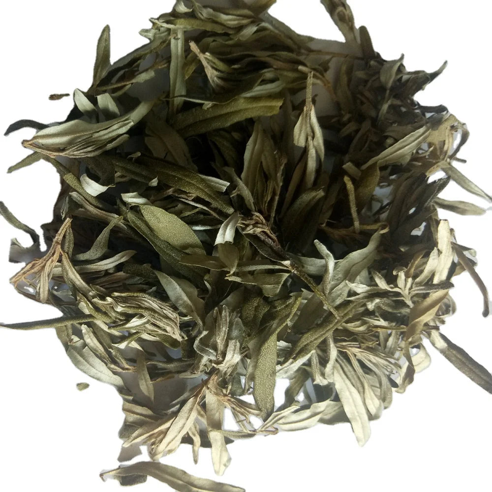 Wholesale Raw Dried Hippophae Rhamnoides Leaf Sea Buckthorn Leaves for Sale