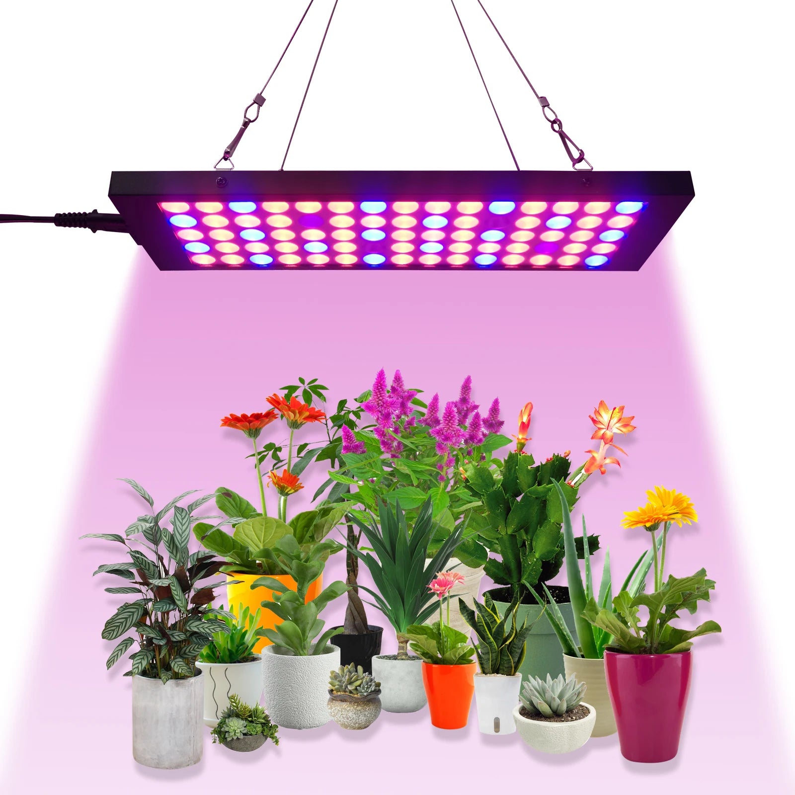 2025 Liweida full spectrum square small panel grow light 10W uv led lamp for indoor hydroponic planting