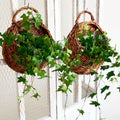 Y-O004 Wholesale Hanging Basket European Style Wall Hanging Flower Pot Wall Hanging Flower Basket Plant Pot