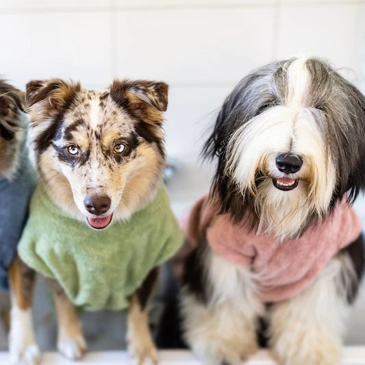 Best-Selling European and American Pet Supplies: Dog Bathrobe Quick-Drying Towel Pet Bath Towel Large Dog Bathrobe Clothing