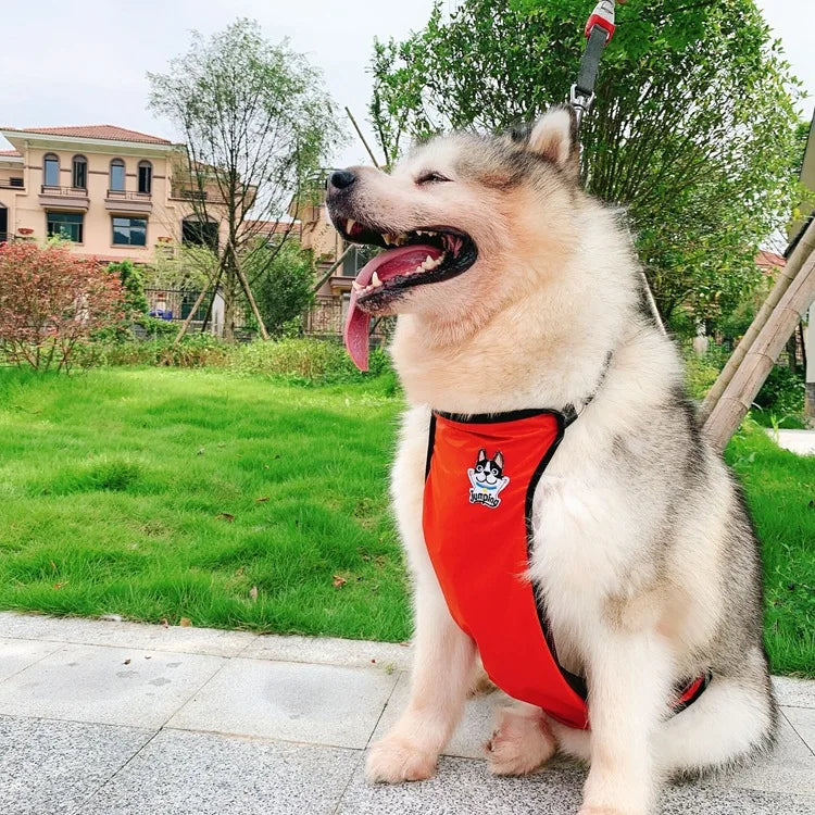Wholesale Stocked Female Waterproof Male Dog Belly Band