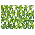 Modern Foldable Green HDPE Garden Fence-All-Season Use KENDA Brand