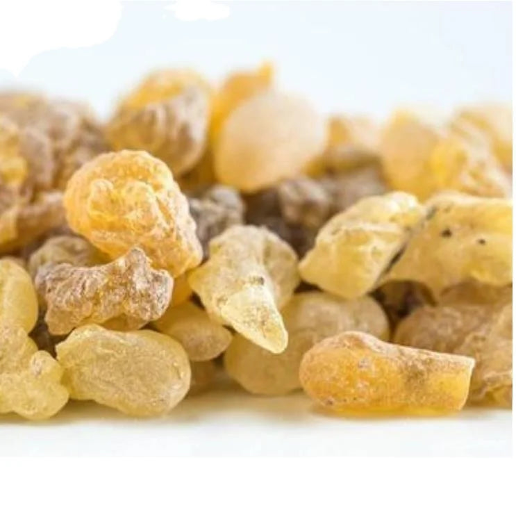 High Quality New Wholesale Natural Frankincense Boswellia Gum for Bulk Sale