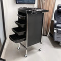 Cross-border Modern Design Stainless Steel Salon Tool Trolley for Hair Salon Perming Dyeing Large Capacity Storage Made Trolley