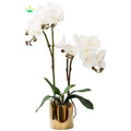 Artificial Orchid Flower Real Touch Faux Orchid in Vase Realistic White Phalaenopsis Orchid Arrangement Centerpiece Table