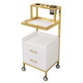 S.W Modern 2-Storage Trays SPA Rolling Trolley with Dryer Holders Metal Storage Cabinet for Beauty Salon & Home Use