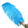 Wholesale Xinyuling Brand 65-70cm Full Size Ostrich Feathers Natural Black Dyed Pattern 48h Delivery Cheap for Crafts Wedding