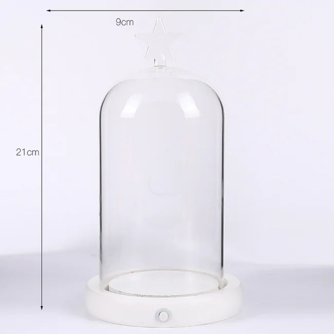 Luxury LED Customize Round Glass Dome with Wooden Base Led Lights Gift Glass Dome with Wood Base