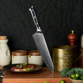 8 Inch Professional Japanese Damascus Steel Kitchen Chef Knife with G10 Handle