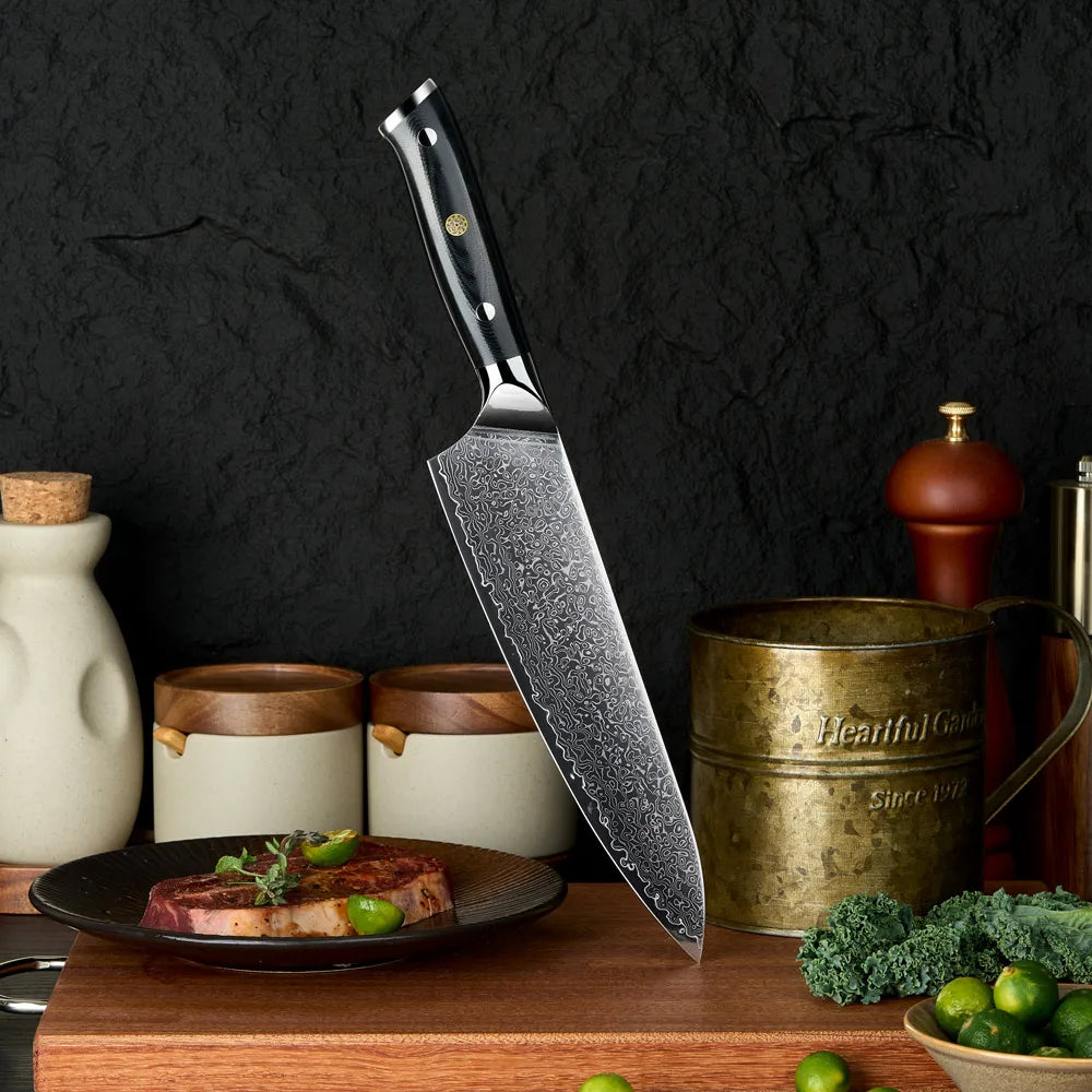 8 Inch Professional Japanese Damascus Steel Kitchen Chef Knife with G10 Handle