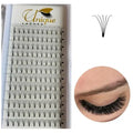 Flat Lash Premade Eyelash Extension Fan 3D 4D 5D 6D 8-18mm C D Curl Volume Fans Lash