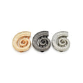 Ocean-Themed Conch Shell Swimsuit Clasps Zinc Alloy Anti-CorrosionSaltwater Proof Bikini Accessories