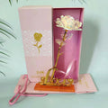 2020 24k Gold Foil Dipped Plated Beauty and the Beast galaxy Rose Valentines Gift