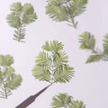 Q130 Metasequoia Dried Flower Press Decorative Real Plant Specimen Real Leaves Craft Flower Diy Material Wedding Card Making