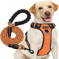 Escape Proof No Pull Luxury Vest Harness Reflective Adjustable Soft Padded Nylon Animal Ribbons Handle Dog Leash Combo Free