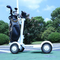 Whosale 1500W 4 Wheels Electric Scooters 20km Motorized Golf With Golf Bag Holder Motorized Golf Carts for Sale