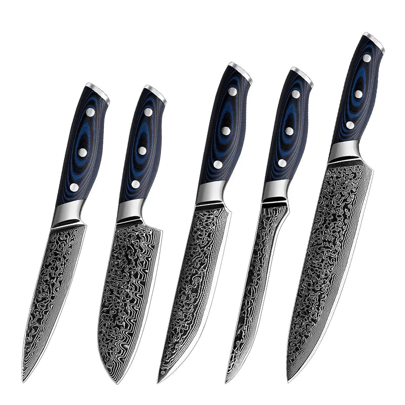 5 Pcs 67 Layer Japanese Steel Blade Professional Damascus Kitchen Knife Kitchen Chef's Knives for Purpose Kitchen Cutting