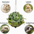 Rabbit Hay Ball Hanging Forage Rack for Guinea Pigs & Chinchillas Stainless Steel Hay Feeder Ball Electroplated