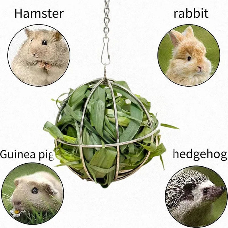 Rabbit Hay Ball Hanging Forage Rack for Guinea Pigs & Chinchillas Stainless Steel Hay Feeder Ball Electroplated