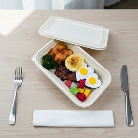 750 ml Biodegradable Corn Starch Single Compartment Disposable Lunch Box for Takeaway Food Container