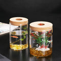 Clear Glass Terrarium Station for Hydroponic Plants Home Decoration Propagation Jars Flower Pots & Planters