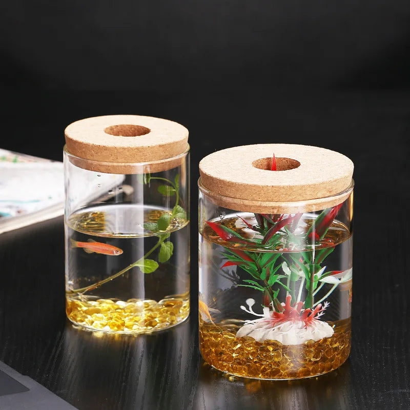 Clear Glass Terrarium Station for Hydroponic Plants Home Decoration Propagation Jars Flower Pots & Planters