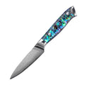 3.5 Inch Paring Knife JDH Damascus Kitchen Knife 67 Layers Damascus Steel with Abalone Shell Handle