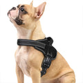 Hot Sale Dog Training Vest Harness Nylon Mesh Reflective Pet Vest Easy Wear No Pull Dog Harness With Low MOQ