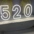 Winbo Manufacturer Customized Waterproof Giant Light up Numbers Sign Decorative Home Lighting