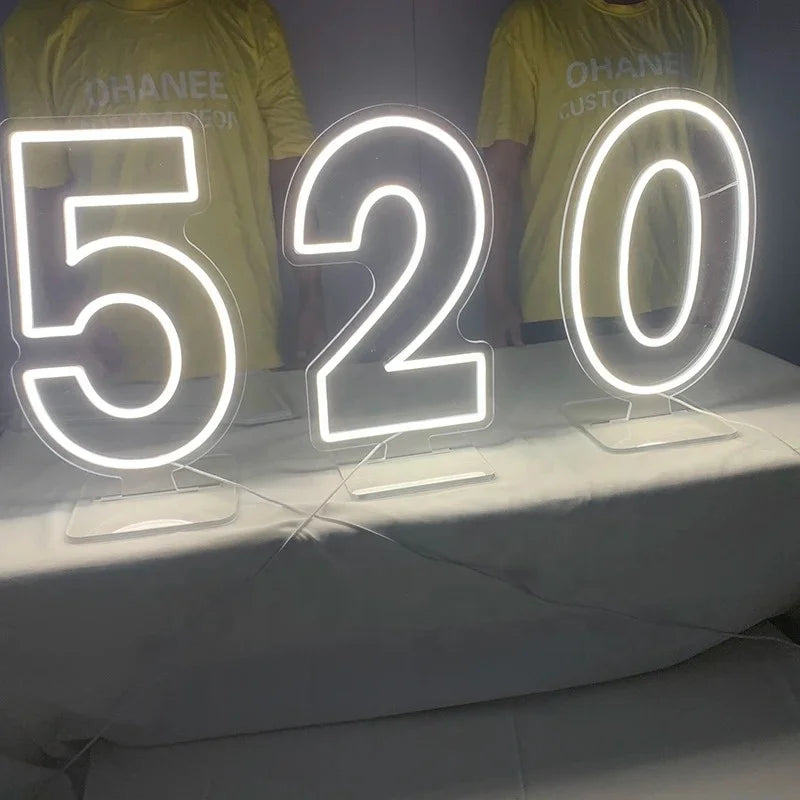 Winbo Manufacturer Customized Waterproof Giant Light up Numbers Sign Decorative Home Lighting