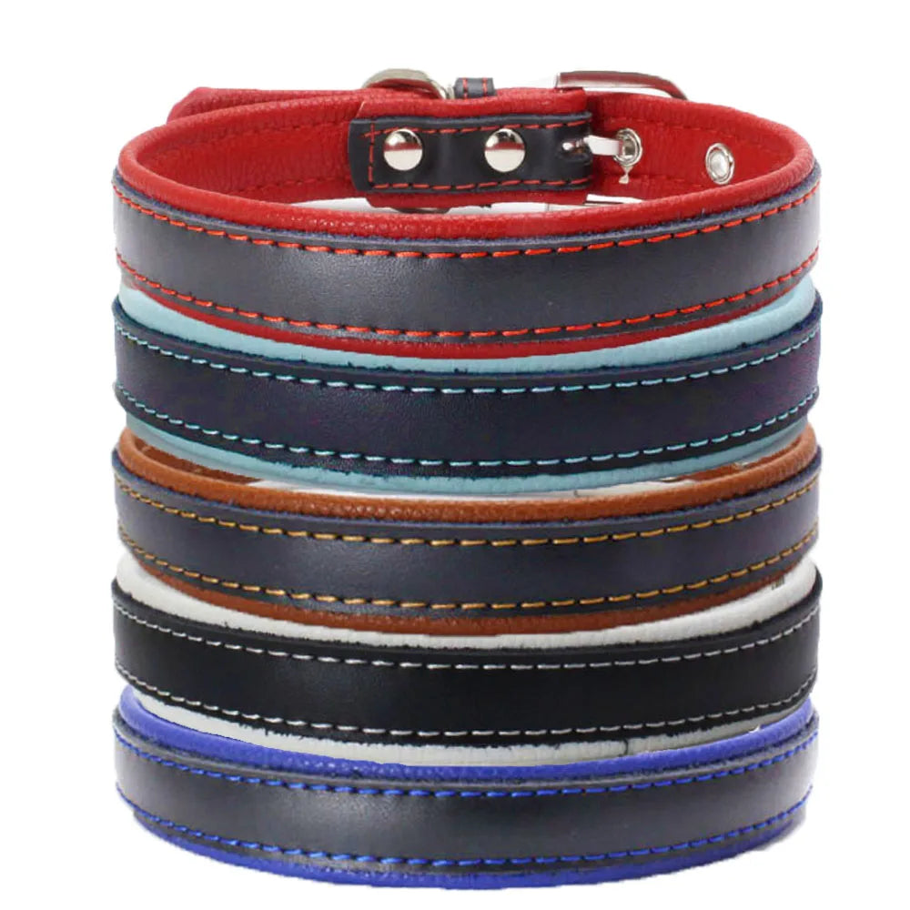 Contrast Color Heavy Duty Pet Dog  Real Leather Collar Padded for Medium Large Dogs Pet Products