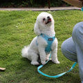 No Pull Harness Breathable Sport Harness With Handle-Dog Harnesses Reflective Adjustable for Medium Large Dogs