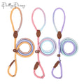 2024 New Product Pet Leashes Clasp Reflective Braided Climbing Variety Color Rope Dog Leash With Soft Padded Handle Pet Supplies
