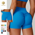 CNSHELL Custom Logo Nylon Brushed Tight High Waist Basic Scrunch Butt Yoga Workout Gym Fitness Sports Shorts