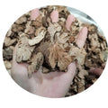 Wild Dried Raw Herb Fagopyrum Dibotrys Rhizome Cuts for Herb