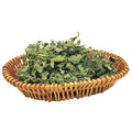 Li Zhi Cao Natural Raw Plebeian Sage Dried Wild Saluia Plebeia Fujian China Sun-Dried Herb