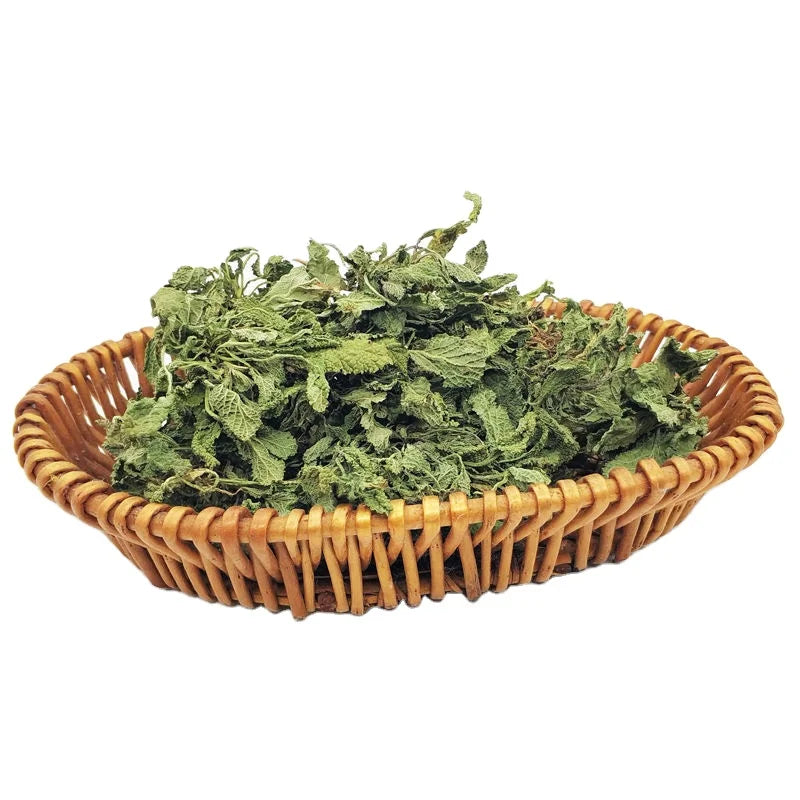 Li Zhi Cao Natural Raw Plebeian Sage Dried Wild Saluia Plebeia Fujian China Sun-Dried Herb