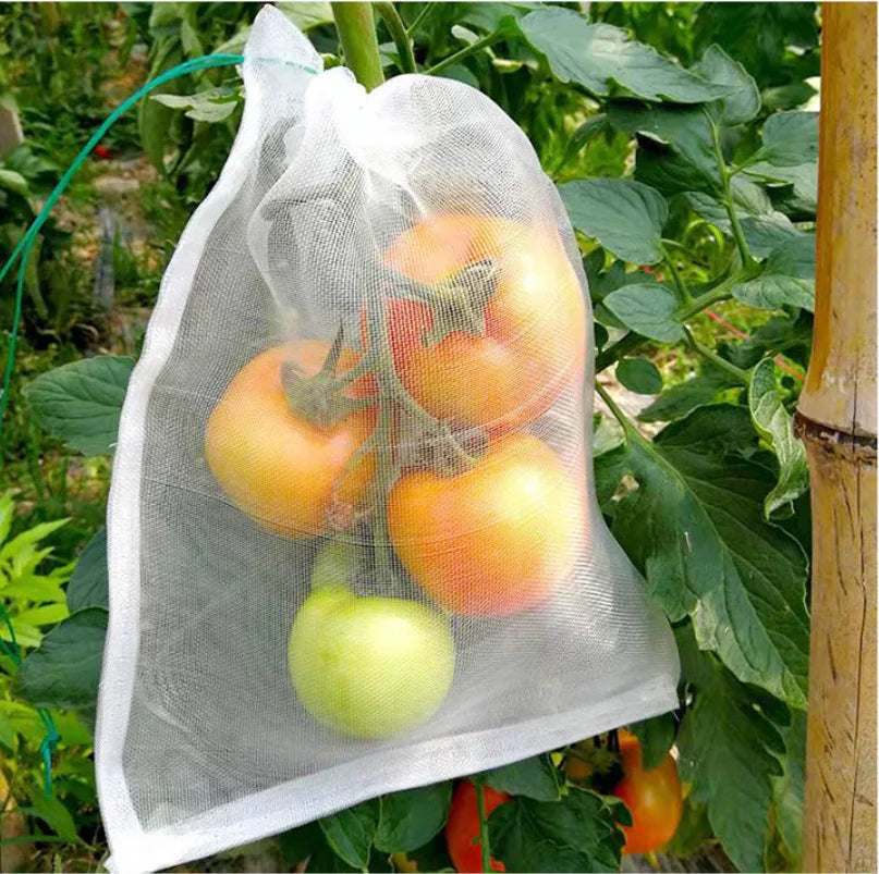 Tree Fruit Insect Protect Netting Mesh Net Bag Insect protection Anti Insect Net Bags