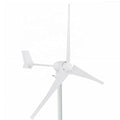 Factory Price 1200W 12v 24v Horizontal Wind Turbine Generator for Home Use