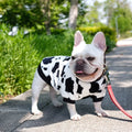 Winter Cold Weather Pet Clothes Cotton Fleece Lining Pullover Dog Sweaters Puppy Outfits