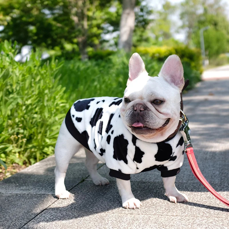 Winter Cold Weather Pet Clothes Cotton Fleece Lining Pullover Dog Sweaters Puppy Outfits
